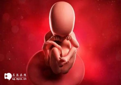 上海代生供卵公司：﻿双子宫是什么情况，双子宫怎么治疗