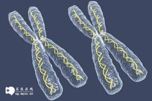 上海代怀生男孩：﻿一个人去做输卵管造影检查项目，这些需要知道的事项！