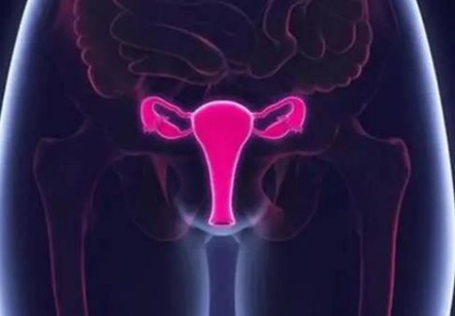 孕期怀女孩肚形变化不同，可从这些方面观察